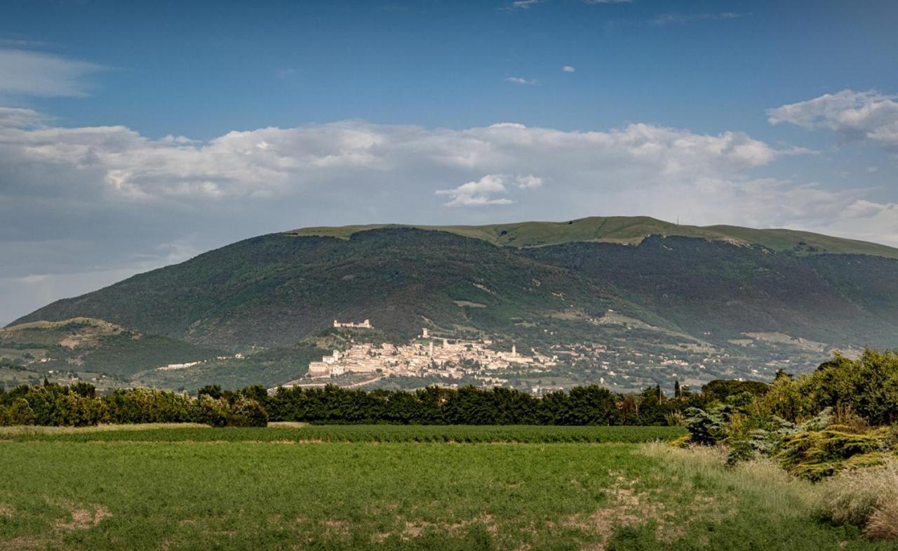 Appartamento Assisium Bastia Umbra